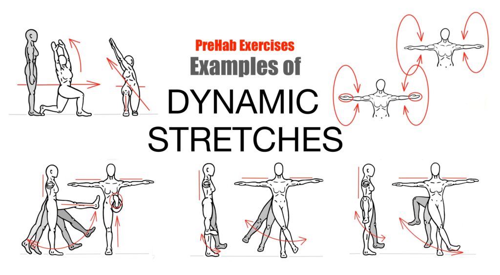 Examples of dynamic stretching exercises!